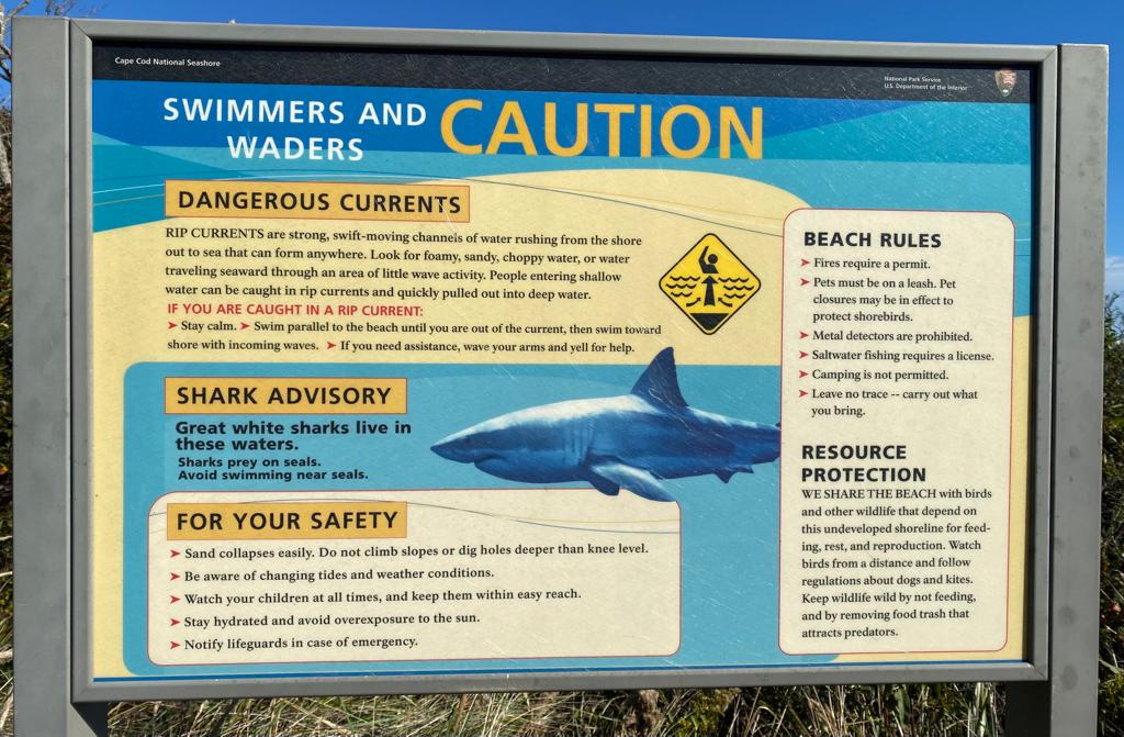 Cautious sharks