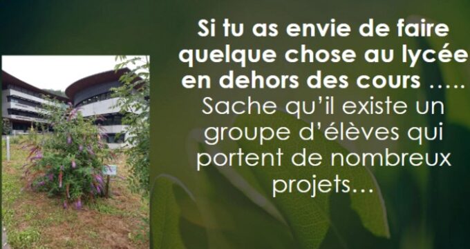 eco_responsableco_responsable.jpg
